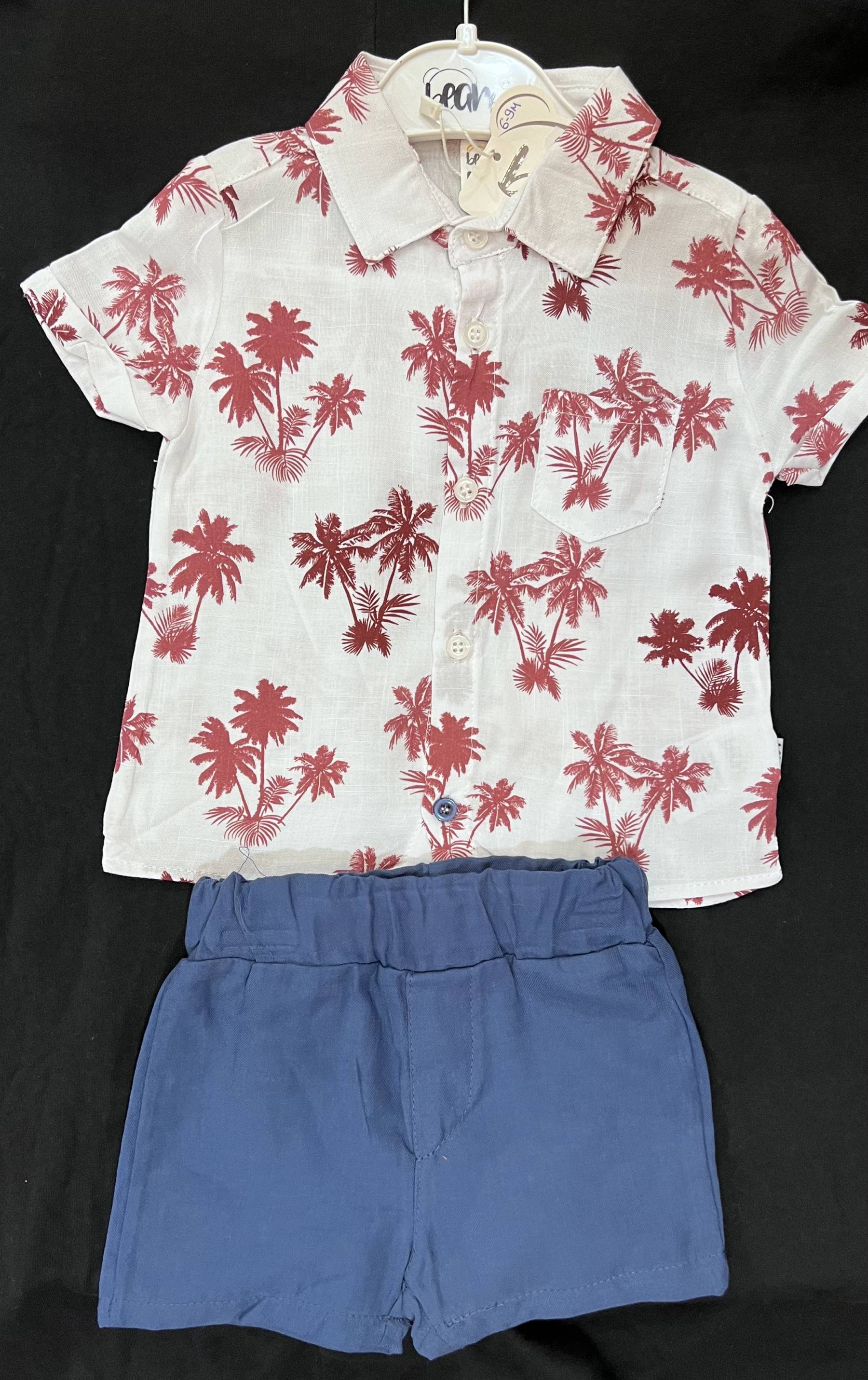 Ensemble palmiers Bordeaux 